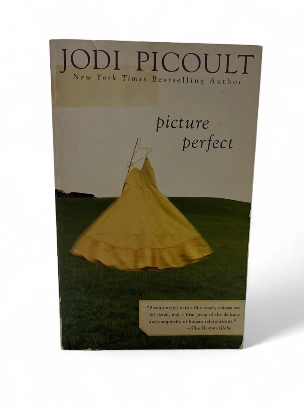 Jodi Picoult Picture Perfect Paperback Book Drama Romance Fiction Novel Adult